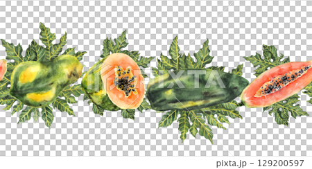 Seamless tropical papaya border with green leaves in watercolor style Seamless tropical papaya border with green leaves in watercolor style 129200597