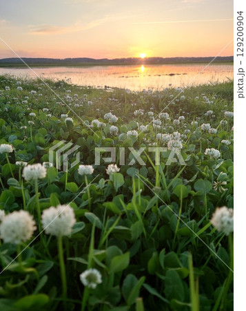田園の夕日 129200904