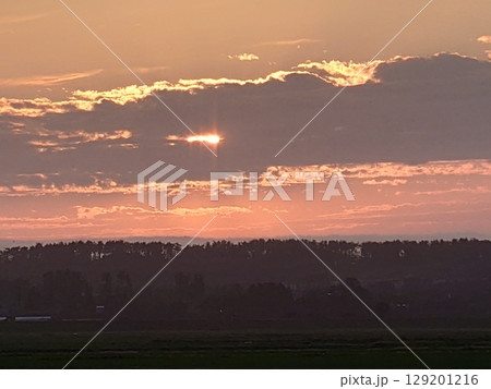 素敵な夕方 129201216