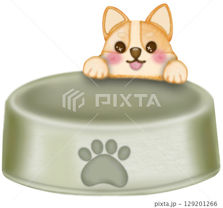 Kawaii playful Corgi and Shiba Inu dogs in various poses, Dog equipment Hand drawn colored illustration set. Kawaii playful Corgi and Shiba Inu dogs in various poses, Dog equipment Hand drawn colored illustration set. 129201266