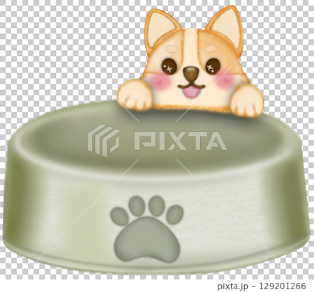 Kawaii playful Corgi and Shiba Inu dogs in various poses, Dog equipment Hand drawn colored illustration set. Kawaii playful Corgi and Shiba Inu dogs in various poses, Dog equipment Hand drawn colored illustration set. 129201266