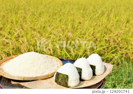 秋の田んぼと新米のおにぎり 129201741