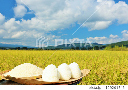 秋の田んぼと新米のおにぎり 秋の田んぼと新米のおにぎり 129201743