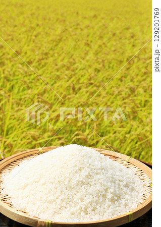 秋の田んぼと新米 秋の田んぼと新米 129201769