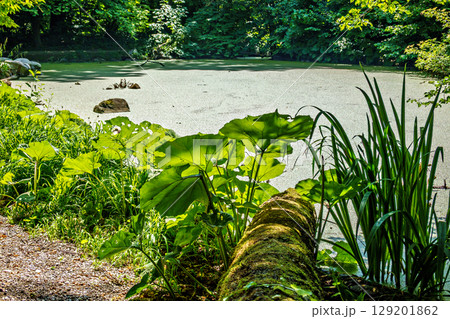 Hiking along the banks of the Bavarian River Wuerm with detailed views of green nature. Hiking along the banks of the Bavarian River Wuerm with detailed views of green nature. 129201862