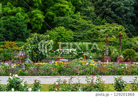 The Botanical Garden of Augsburg in Germany with garden pathes and topiary boxwood bushes on green meadows 129201868