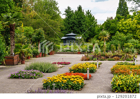 The Botanical Garden of Augsburg in Germany with garden pathes and topiary boxwood bushes on green meadows The Botanical Garden of Augsburg in Germany with garden pathes and topiary boxwood bushes on green meadows 129201872