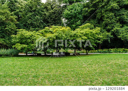The Botanical Garden of Augsburg in Germany with garden pathes and topiary boxwood bushes on green meadows The Botanical Garden of Augsburg in Germany with garden pathes and topiary boxwood bushes on green meadows 129201884