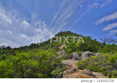 糸島 立石山登山道より山頂 糸島 立石山登山道より山頂 129202216