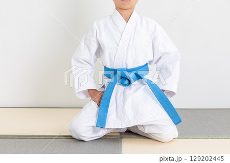 道着を着て正座する子ども 道着を着て正座する子ども 129202445