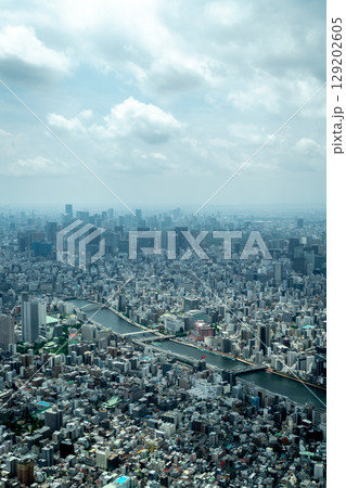 Aerial view of central Tokyo cityscape in Japan Aerial view of central Tokyo cityscape in Japan 129202605