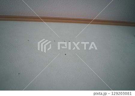 エアコンを取り外して残ったビス穴 129203081