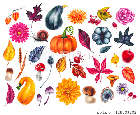 Autumn Watercolor Set Hand Drawn Watercolor Autumn Watercolor Set Hand Drawn Watercolor 129203282