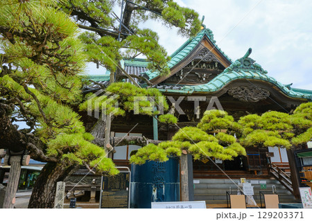 東京都葛飾区　柴又帝釈天　帝釈堂と瑞龍松 129203371