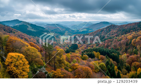 View of mountains, trees covered with autumn leaves under cloudy sky 129203439