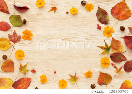 落ち葉とキバナコスモスのフレーム 落ち葉とキバナコスモスのフレーム 129203703