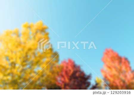 ざらざらの紙とぼやけた紅葉した木と秋晴れの空の画像 129203916