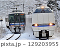 雪の北陸本線を行く特急列車と普通列車の離合 129203955