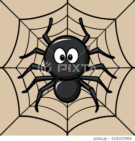 cute spider in web 129203969