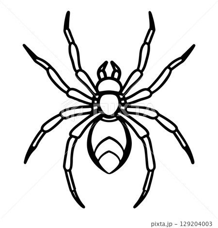 Vector image of spider silhouette. 129204003
