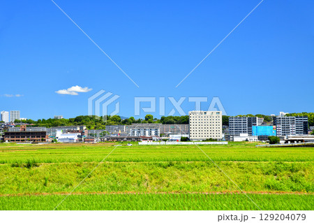 熊本県大津町室(大津警察署)周辺(熊本県大津町)【2025.7】 熊本県大津町室(大津警察署)周辺(熊本県大津町)【2025.7】 129204079