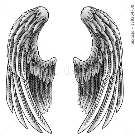Angel Eagle Pegasus Feather Wings Illustration 129204739