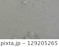 愛知県_篠島 129205265