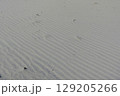 愛知県_篠島 129205266