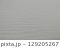 愛知県_篠島 129205267