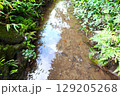 小川 129205268