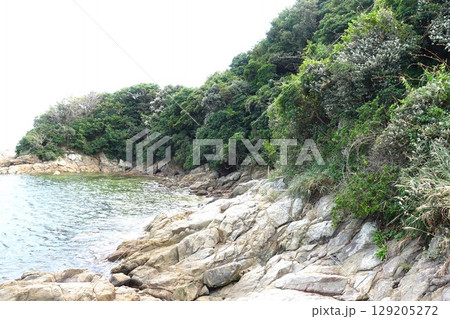 愛知県_篠島 129205272