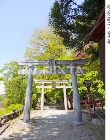 鼻顔稲荷神社 129205605
