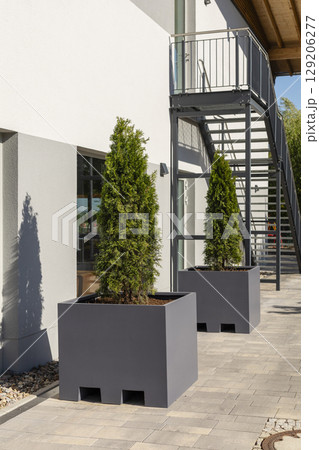 Two large, gray planters containing lush conifer trees are placed alongside a contemporary building entrance, creating a stylish outdoor environment near a metal staircase 129206277
