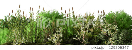 A variety of lush green plants create a vibrant footer, isolated on white background. The distinct textures and colors of the foliage enhance the natural beauty of the landscape. Bottom border. 3D. 129206347