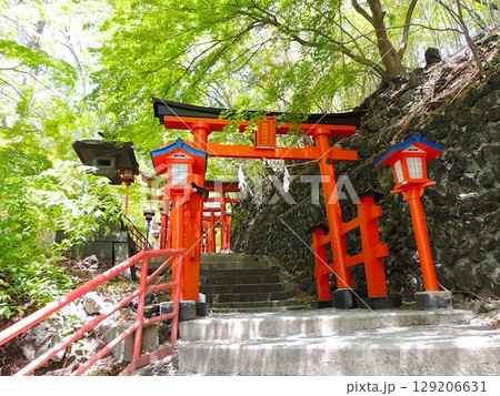 鼻顔稲荷神社 鼻顔稲荷神社 129206631