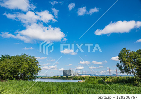 夏の淀川風景　淀川流域自然園　大阪府枚方市 129206767