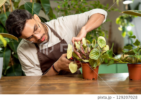 Young man working in the flower shop and looking involved 129207028