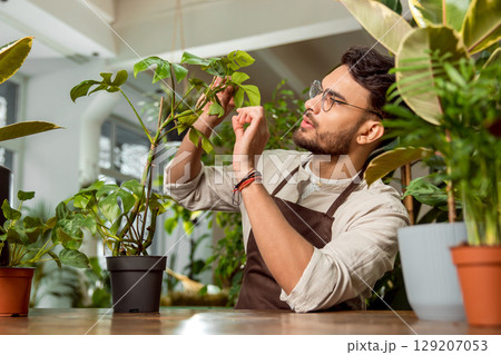 Flower shop assistant taking care of the plants and looking focused Flower shop assistant taking care of the plants and looking focused 129207053