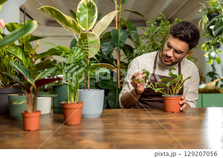 Young man in eyeglasses working in the flower shop and looking busy 129207056