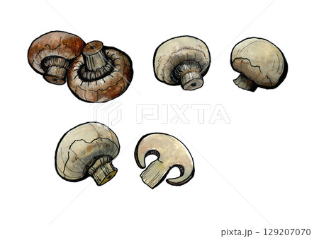 マッシュルーム 129207070