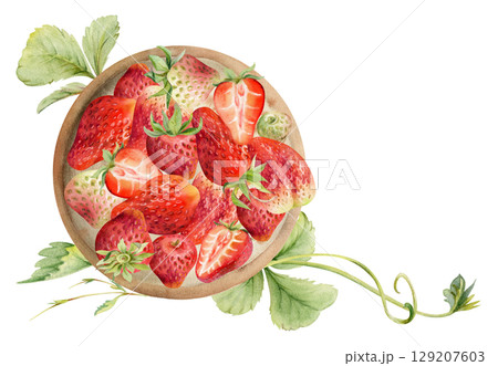 Strawberry served on ceramic dish with leaves tendrils, full and half cut, ripe picked garden berry strasberry harvest. Isolated illustration hand drawn in watercolor. Restaurant menu, farmers market 129207603