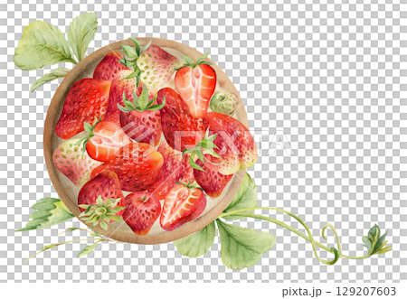 Strawberry served on ceramic dish with leaves tendrils, full and half cut, ripe picked garden berry strasberry harvest. Isolated illustration hand drawn in watercolor. Restaurant menu, farmers market 129207603