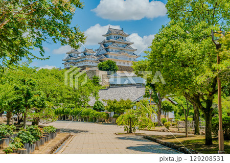 新緑の木々に囲まれた姫路城 新緑の木々に囲まれた姫路城 129208531