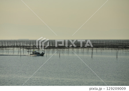 大牟田市　有明海　海苔畑、 129209009