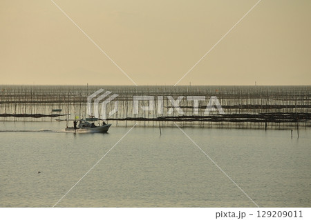 大牟田市　有明海　海苔畑、 129209011