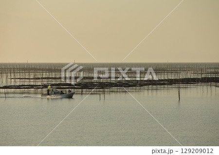 大牟田市　有明海　海苔畑、 129209012