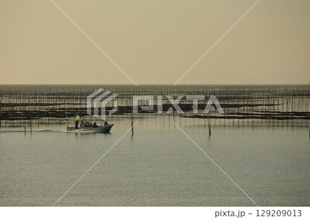 大牟田市 有明海 海苔畑、 大牟田市 有明海 海苔畑、 129209013