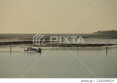 大牟田市　有明海　海苔畑、 129209014