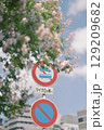 道路標識と百日紅 129209682