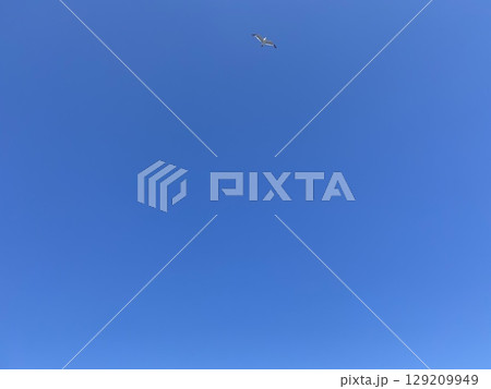 青空 129209949